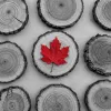 Structurer un plan de gestion de crise pour renforcer la performance globale et la résilience