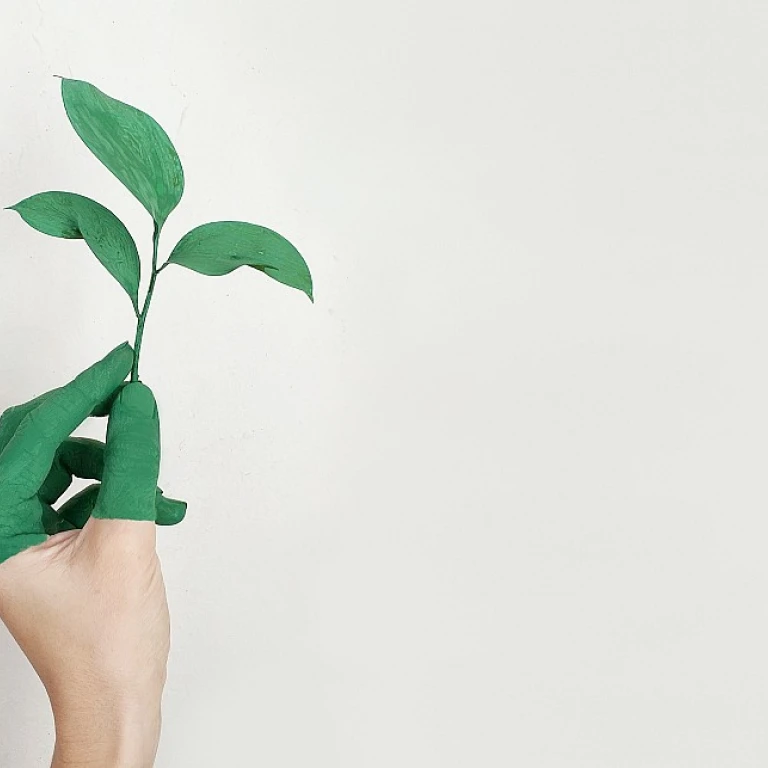 Optimiser la gestion des projets avec des outils adaptés