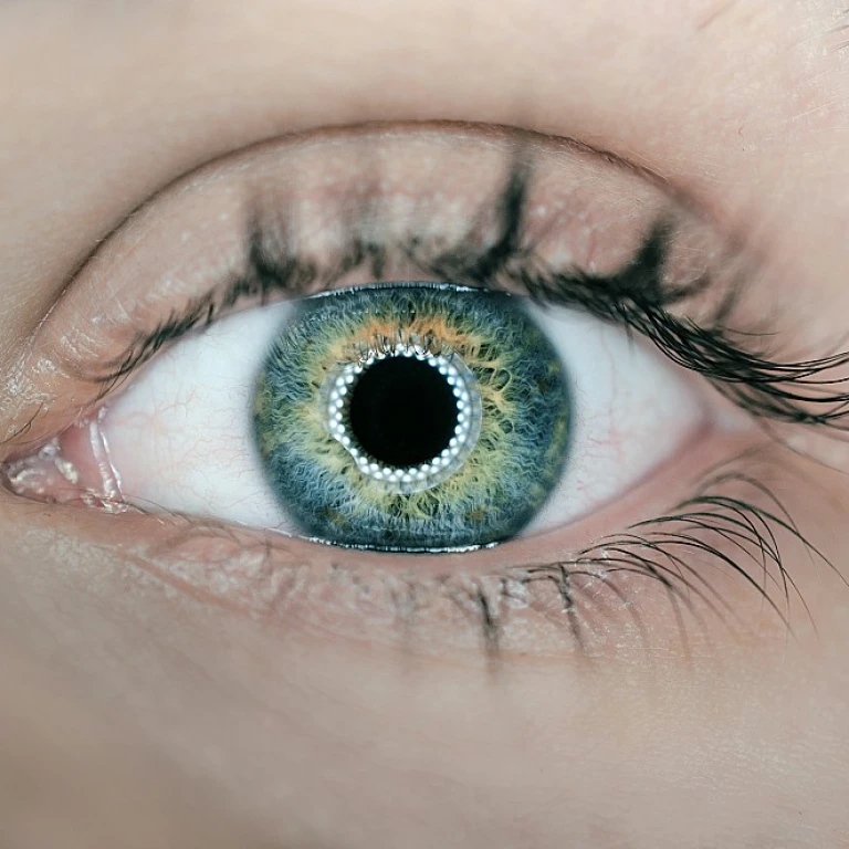 L'événement incontournable pour les décideurs