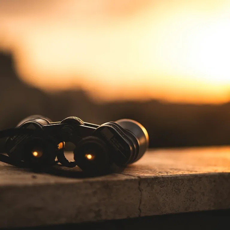 Optimiser la gestion d’entreprise grâce à logiciels-entreprise com